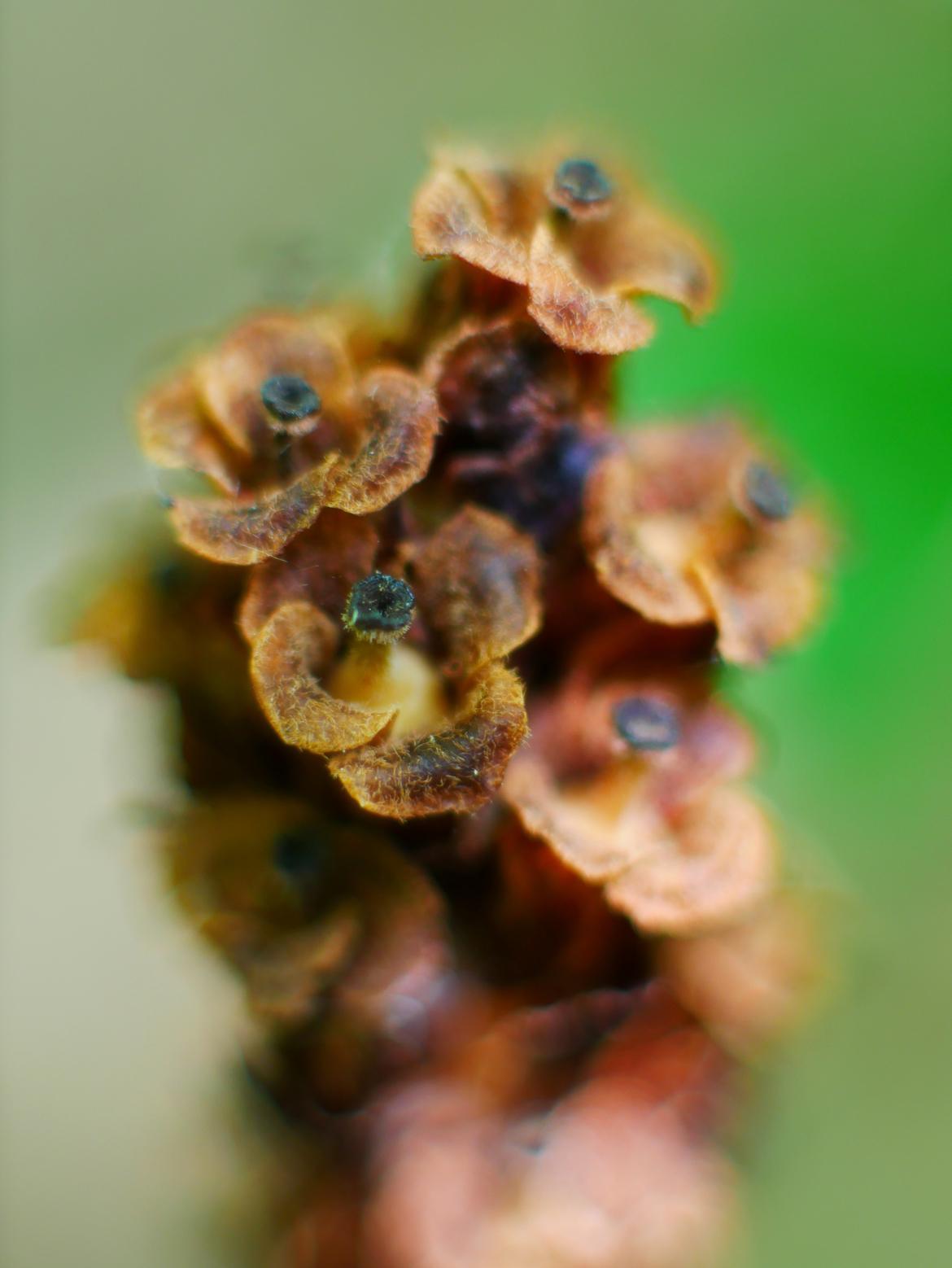 Was ist das?