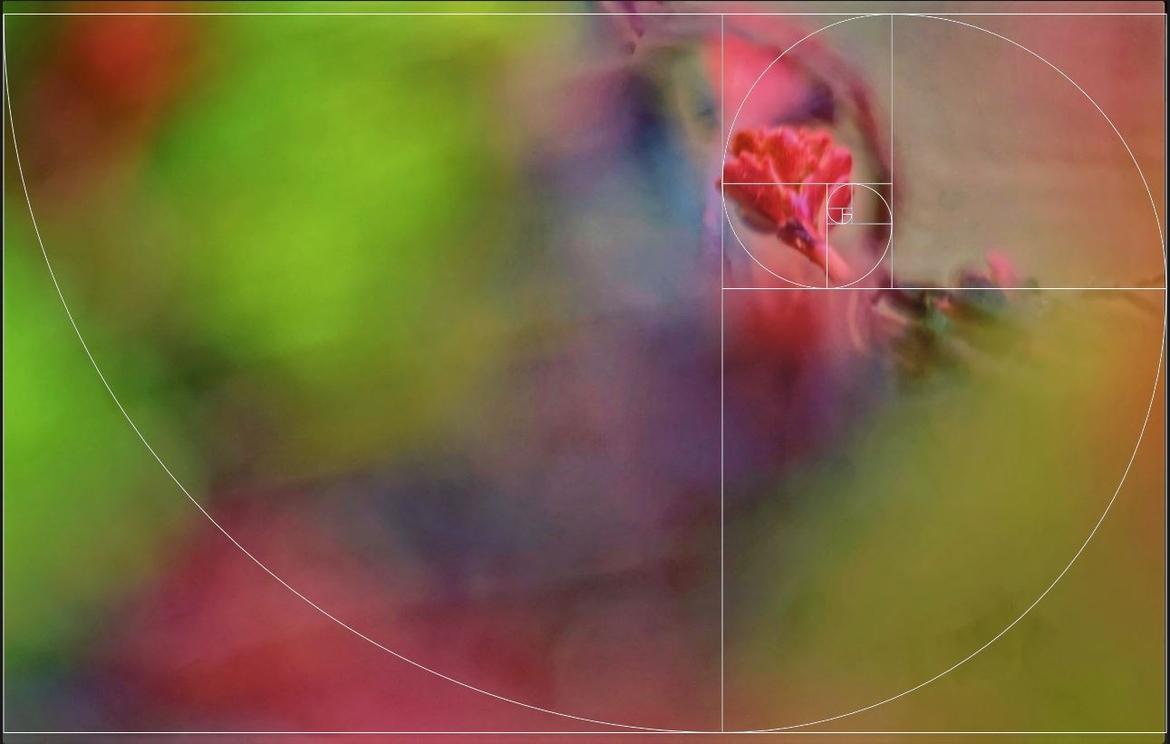 Fibonacci Spirale