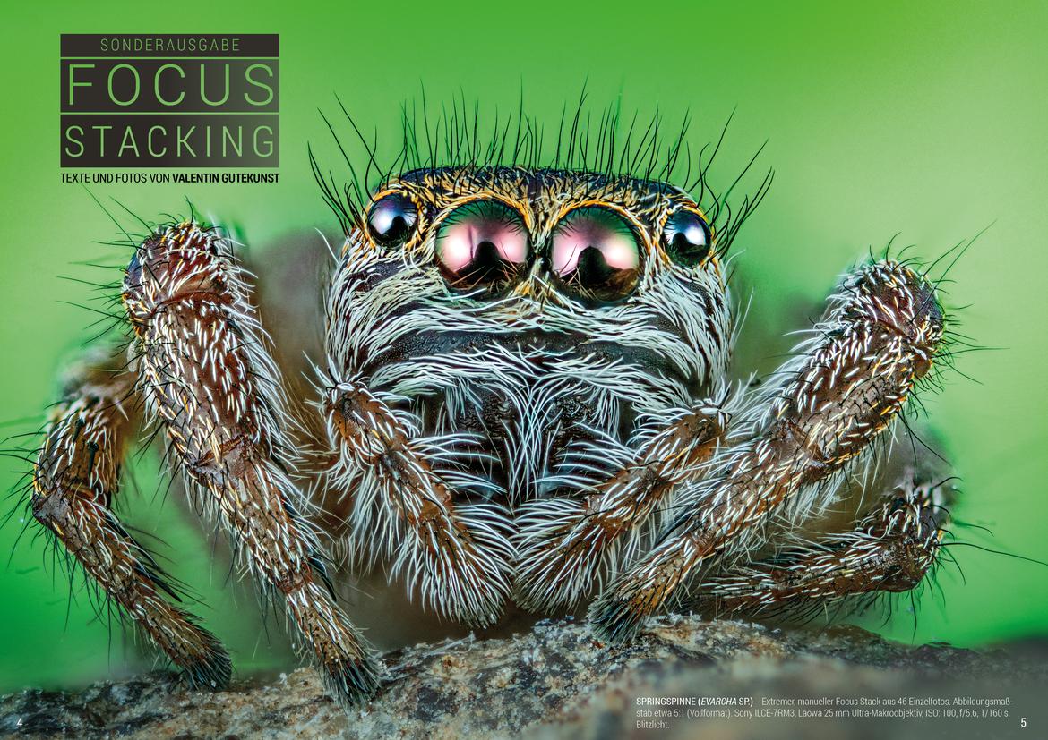 MAKROFOTO Sonderausgabe 1 - Focus Stacking