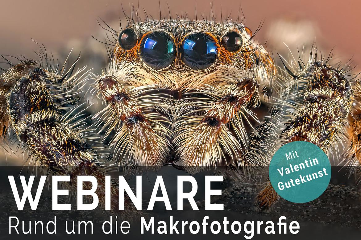 Makrofotografie Webinare 2023