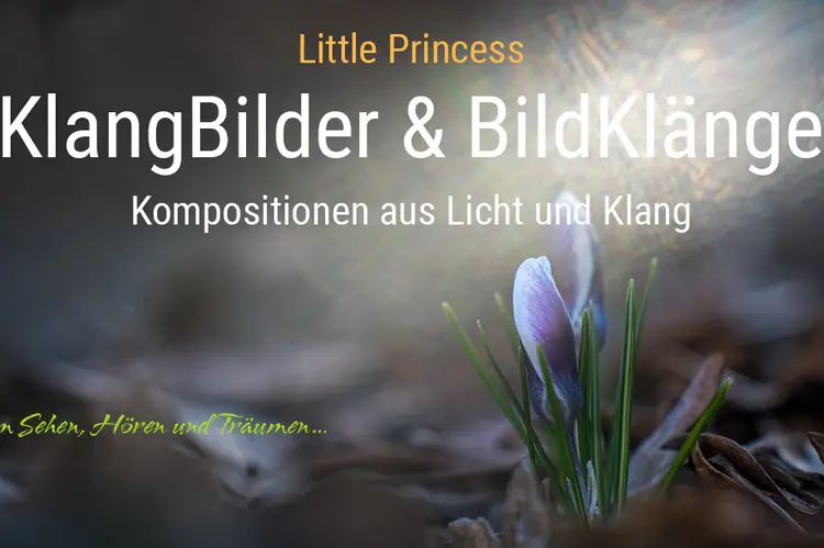 Ankündigungsbild für den neuen Film "Little Princess". Das Foto zeigt einen Krokus mit noch geschlossener Blüte unter einem seitlichen Sonnenstrahl.