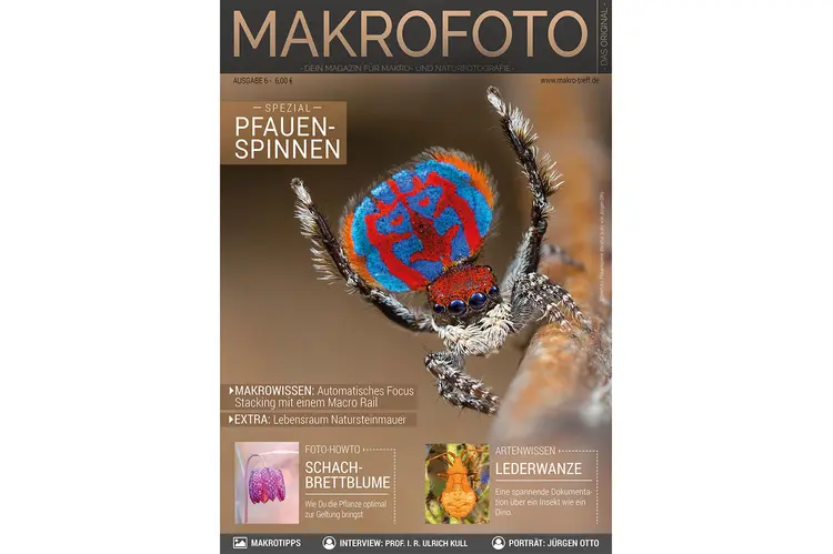 Makrofoto Ausgabe 6 - Pfauenspinnen