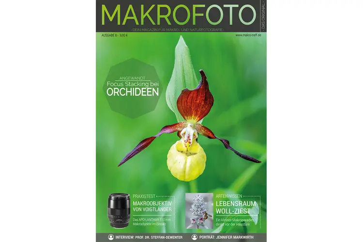 Makrofoto Ausgabe 8 - Focus Stacking bei Orchideen