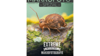 MAKROFOTO Spezial - Sonderausgabe 4 - Extreme Wildlife-Makrofotografie