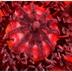 Profile picture for user horstsax24613Makro@