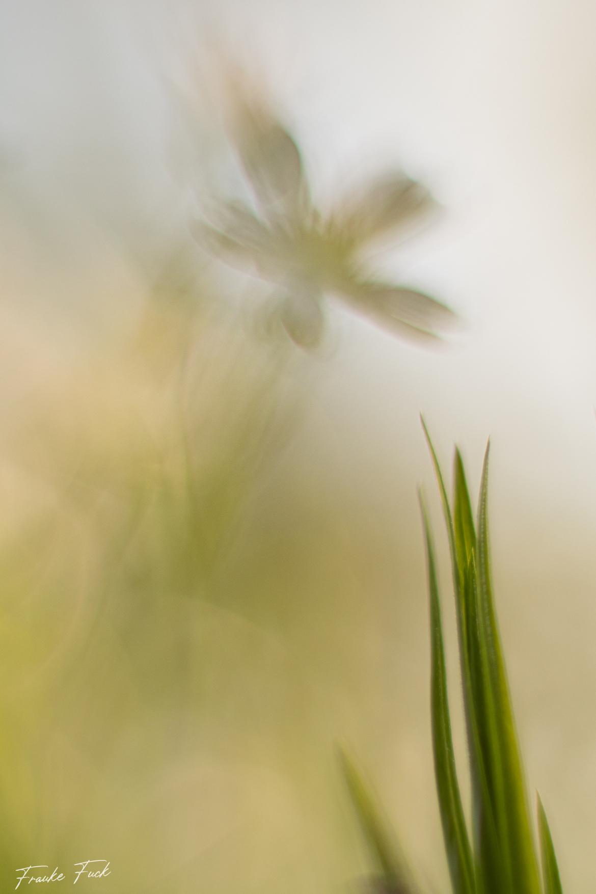 Weniger ist mehr im Hochformat