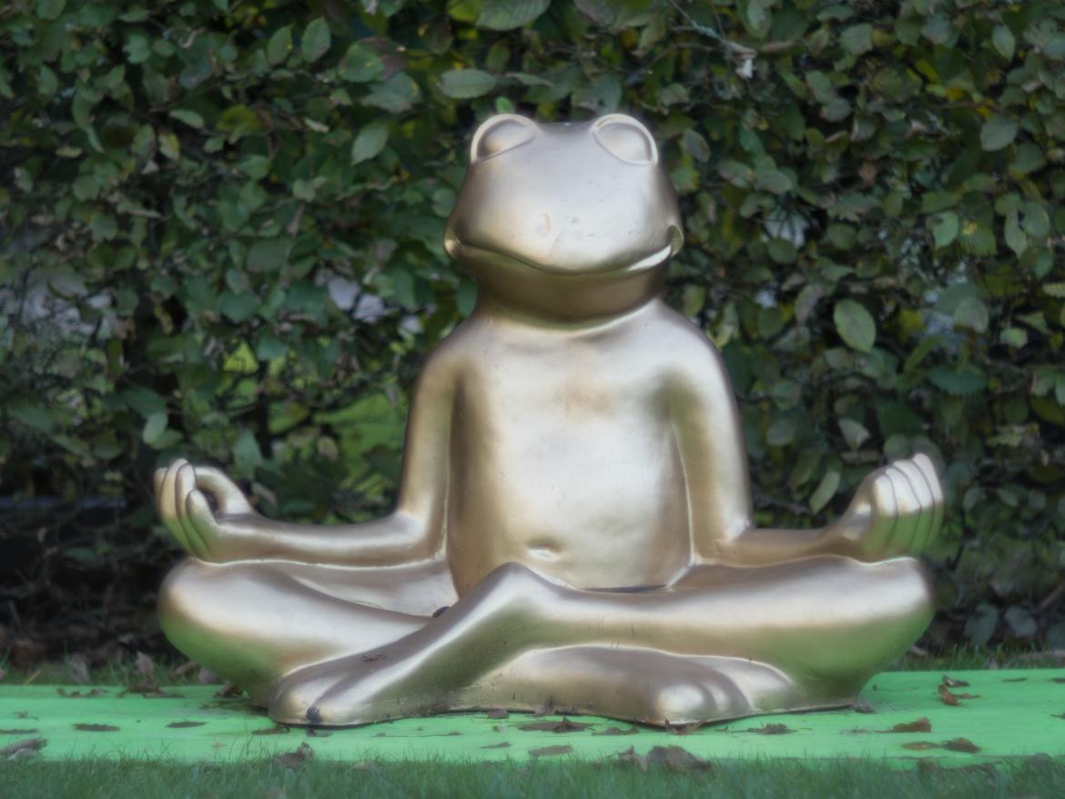 Goldener Frosch 2021