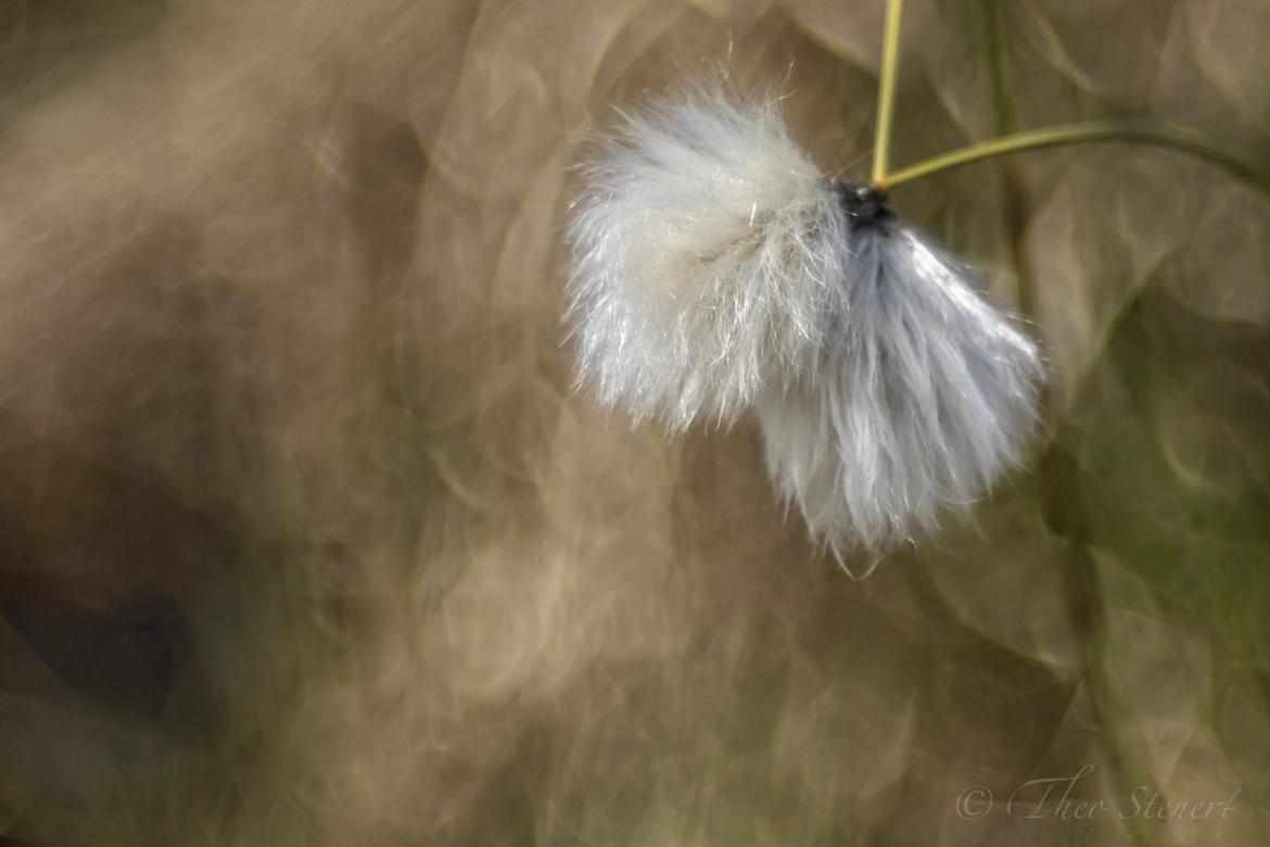 Versuch - Bearbeitung