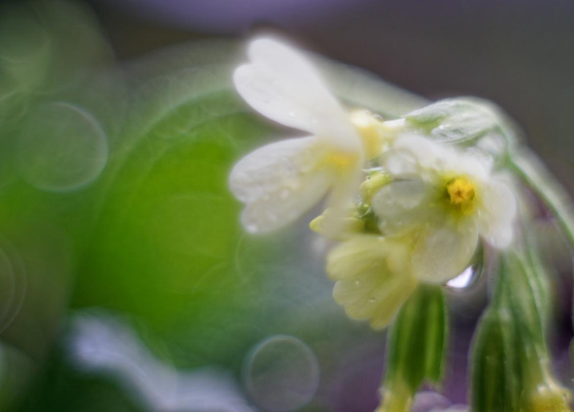 ISO 160 400 S 
