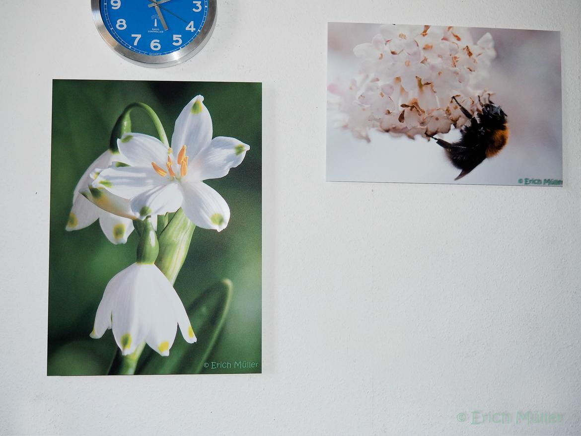 Wandbilder