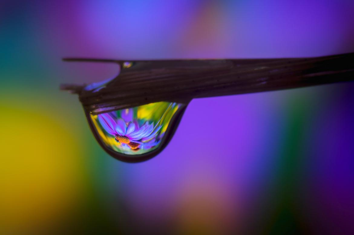 Tropfen mit Spiegelbild