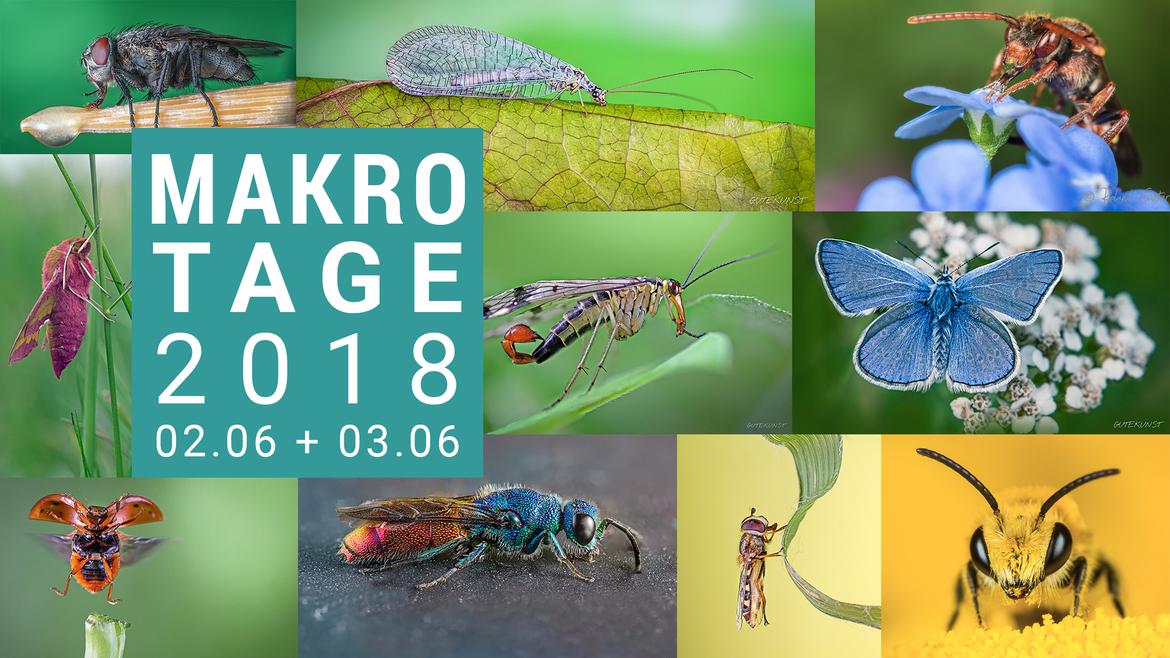 Makrotage 2018