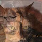 Profile picture for user Fiona Engel