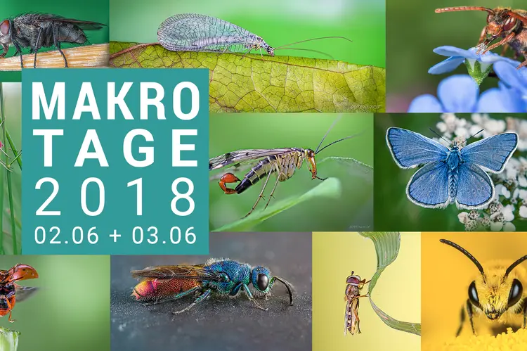 Makrotage 2018