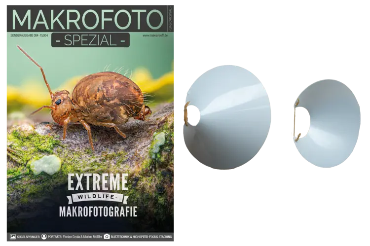 DIY-Diffusor-Schablone für die Extreme Wildlife-Makrofotografie