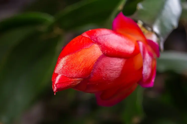 comp_DSC001661111.jpg