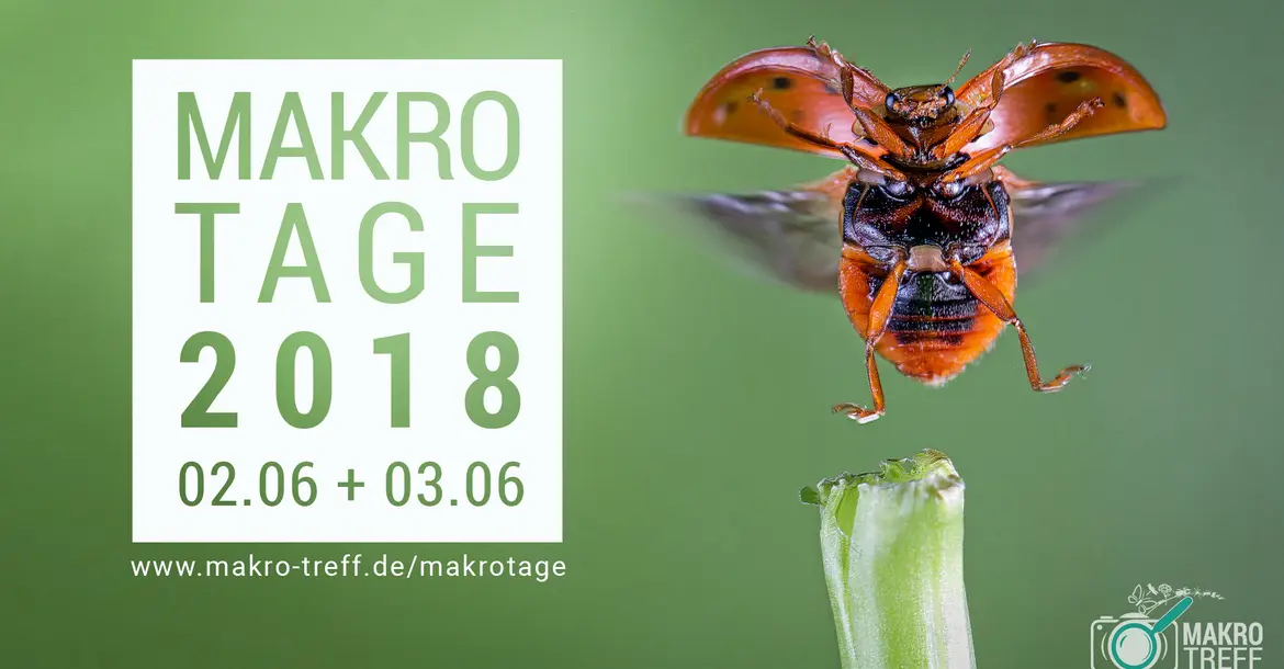 Makrotage 2018