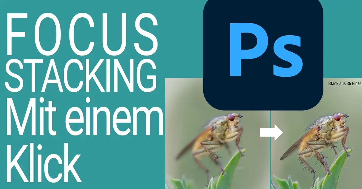Photoshop-Aktion für das Focus Stacking mit einem Tastendruck