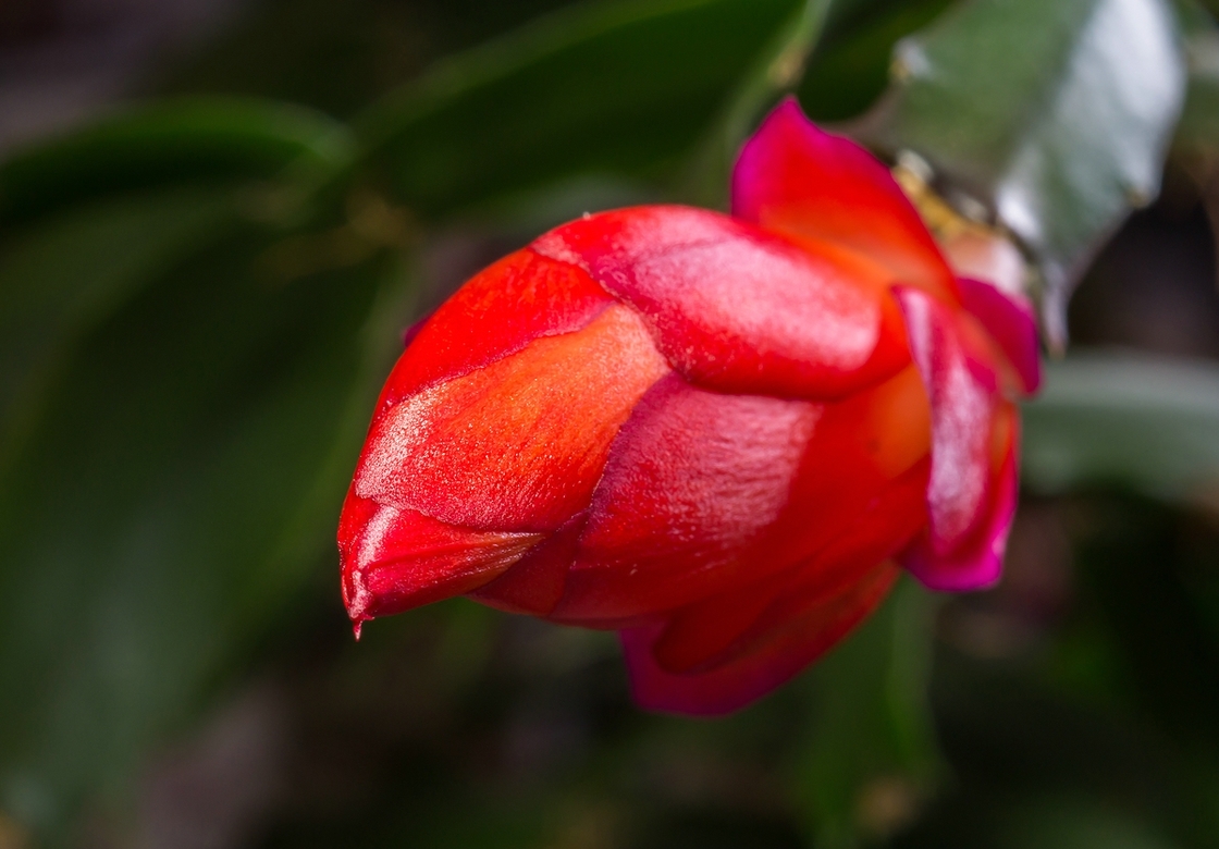 comp_DSC001661111.jpg