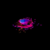 Profile picture for user nagnognug